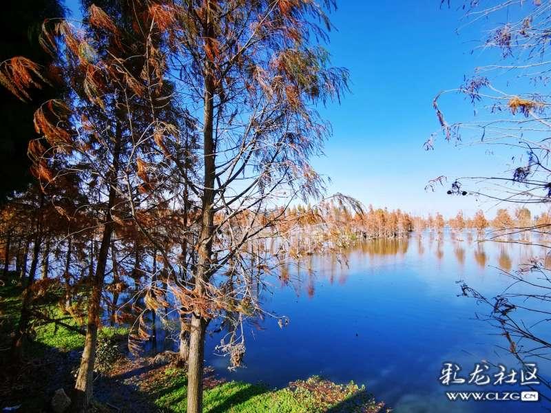 超静音风机盘管吊式弹簧减震器ZTY-020-C
